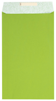 detail Dárkový sáček papírový 26x5x43+6cm A4+, Uni světle zelený